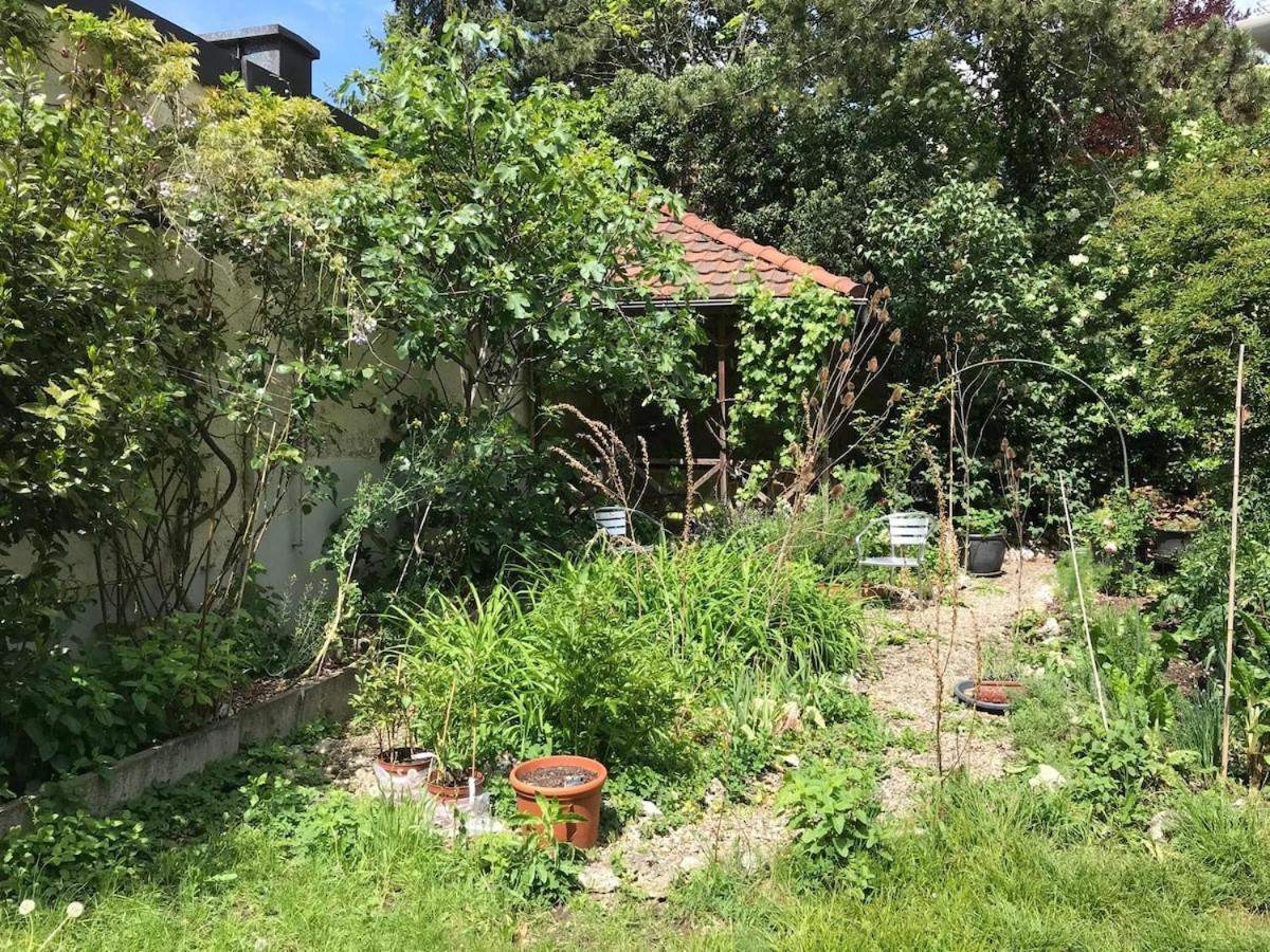 Two Floor With Garden & Baselcard * Bazel