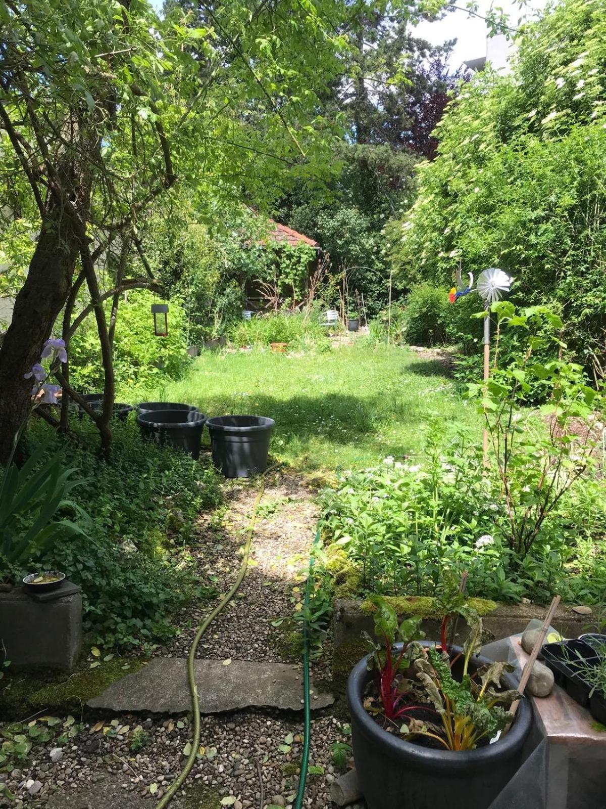 Appartement Two Floor With Garden & Baselcard Bazel